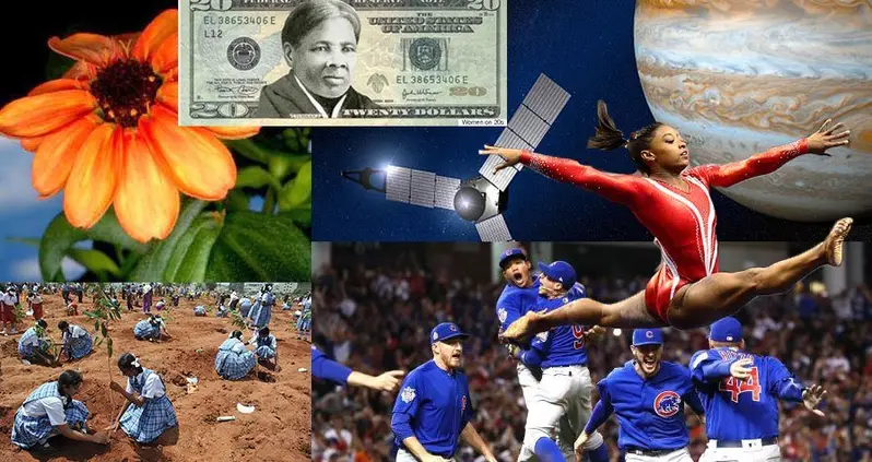 The Best Moments Of 2016