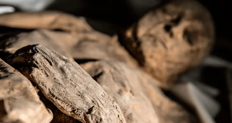 Unearthed Mummy Child Upends Scientists’ Beliefs About Smallpox