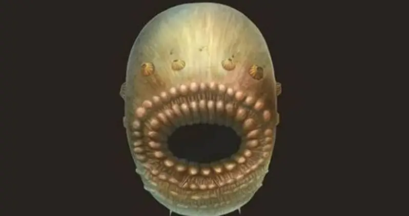 New Discovery Shows Humans’ Earliest Ancestor Was A Tiny, Anus-Less Mouth