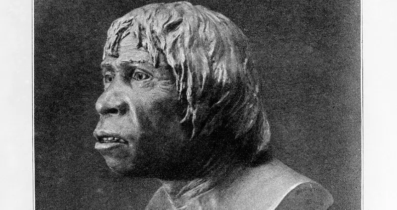 Sherlock Holmes, A Hoax, And The Missing Link Called The Piltdown Man