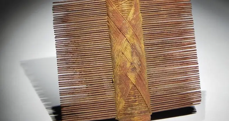 Researchers Uncover Ancient South American Combs Used For A Pretty Disgusting Purpose