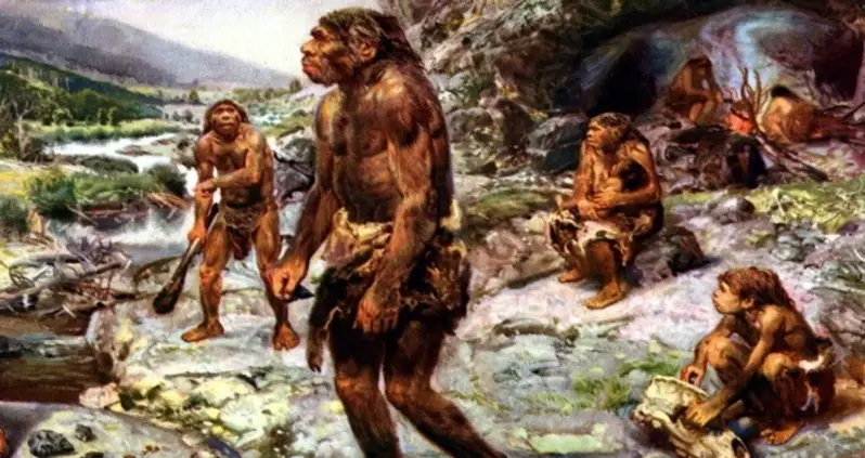 Neanderthals Were Taking Antibiotics And Painkillers 50,000 Years Ago