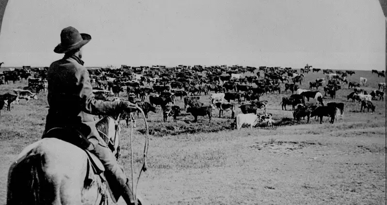 48 Snapshots Of Life In The Real Wild West