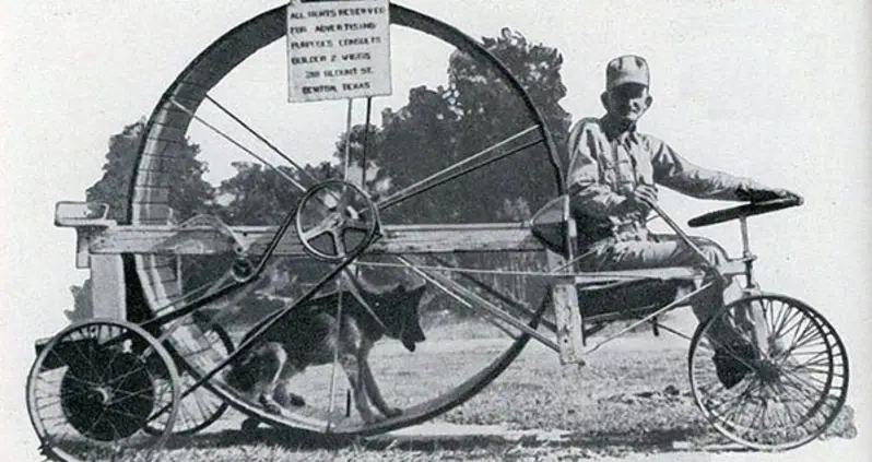 In The Not-So-Distant Past, People Used Dogs For Labor, Not Companionship