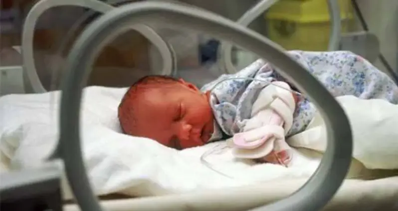 This New “Artificial Womb” May Transform The Care Of Premature Babies