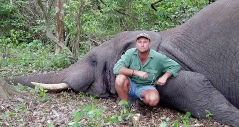 African Elephant Kills Big Game Hunter Theunis Botha By Falling On Top Of Him