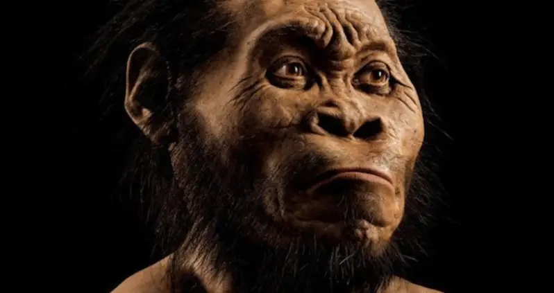 Scientists Uncover Ancient Human Relative That Lived Alongside Our Ancestors