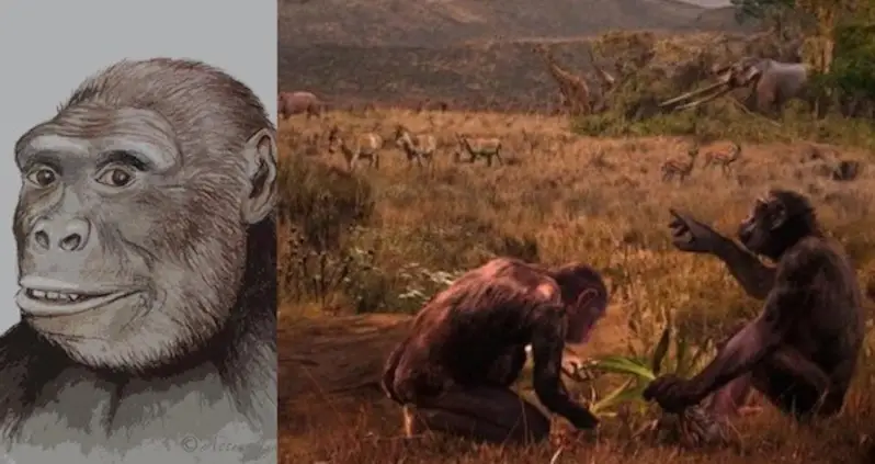 Newly-Discovered Remains Suggest Earliest Humans Came From Europe, Not Africa