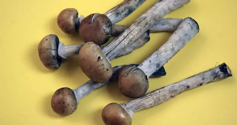 Magic Mushrooms Alleviate Depression, New Study Finds