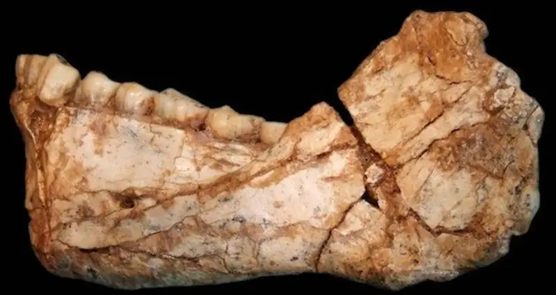 Oldest-Known Homo Sapiens Fossils Found in Morocco