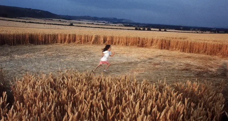 Why People Make — And Are Fascinated By — Crop Circles