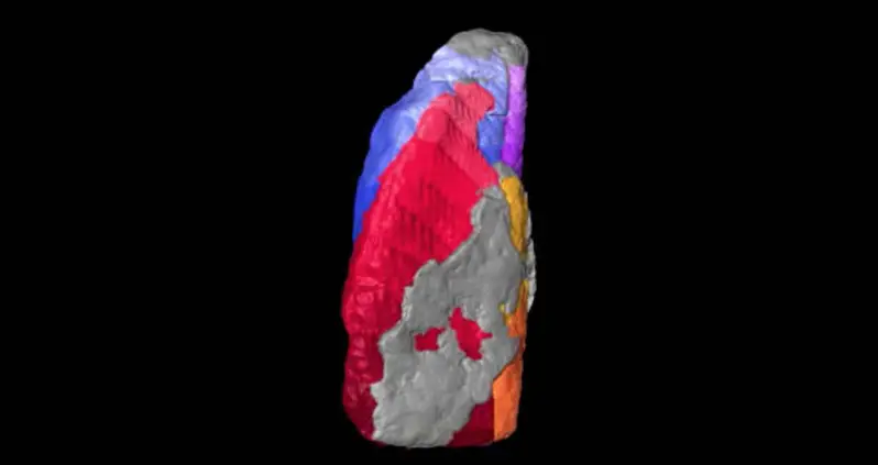 Animal, Plant, Or Neither? Scientists Can’t Explain These 580 Million-Year-Old Mystery Creatures