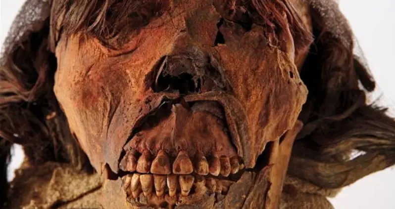 Remarkable Tattooed Mummy Brought Back To Life In Stunning Realistic Recreation