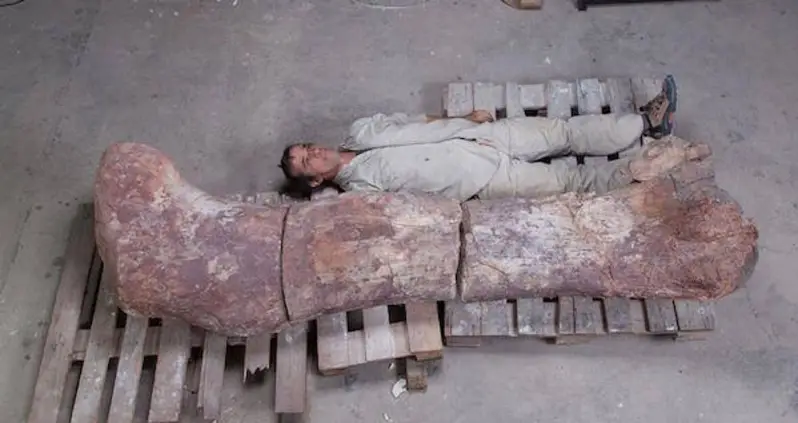 The New Biggest Dinosaur Ever Has Been Found And It’s 10 Times Larger Than A T-Rex