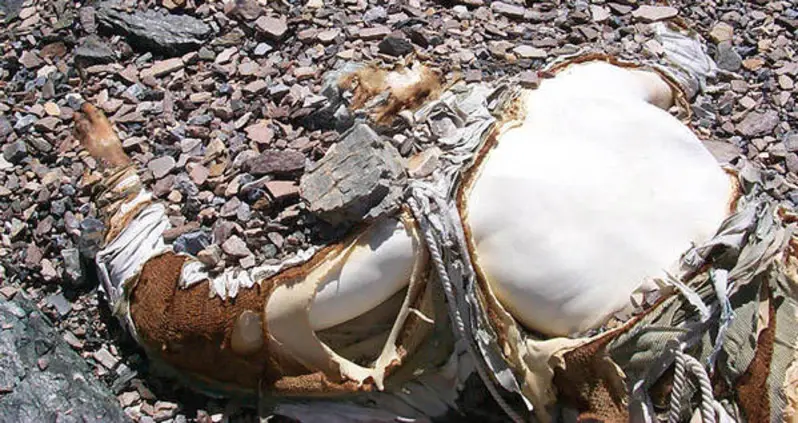 Why Mount Everest Is Littered With The Dead Bodies Of More Than 200 Fallen Climbers