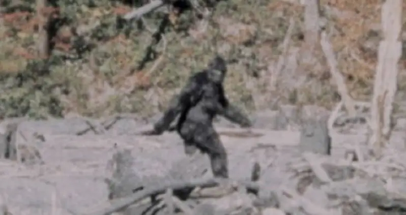 Primate Expert Jane Goodall Says Bigfoot Might Be Real