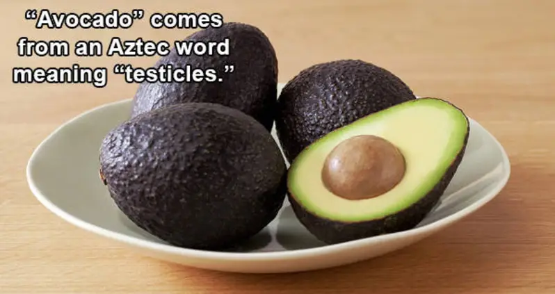 20 Interesting Words With Origins That Most People Don’t Know