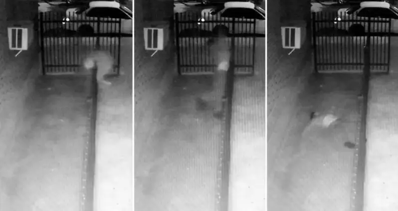 Man Violently Falls To Death After Groping Children [VIDEO]