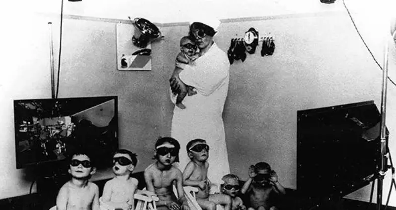 The Nazis’ Lebensborn Program And The Quest To Breed A Master Race
