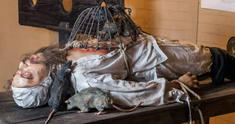 The Gruesome History Of Rat Torture, From Medieval London To 20th-Century South America