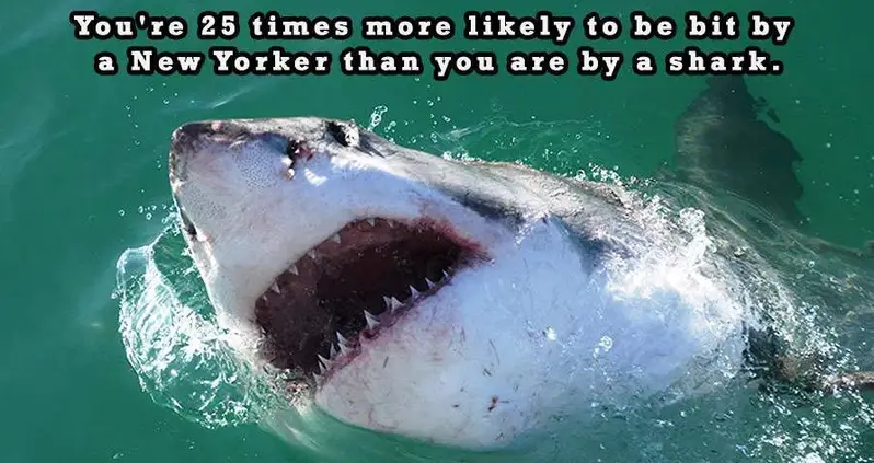 32 Weird New York Facts Even New Yorkers Probably Don’t Know