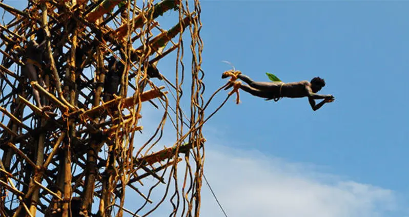 The Original Bungee — Pentecost Land Diving And The Brave Men Who Leap [VIDEO]