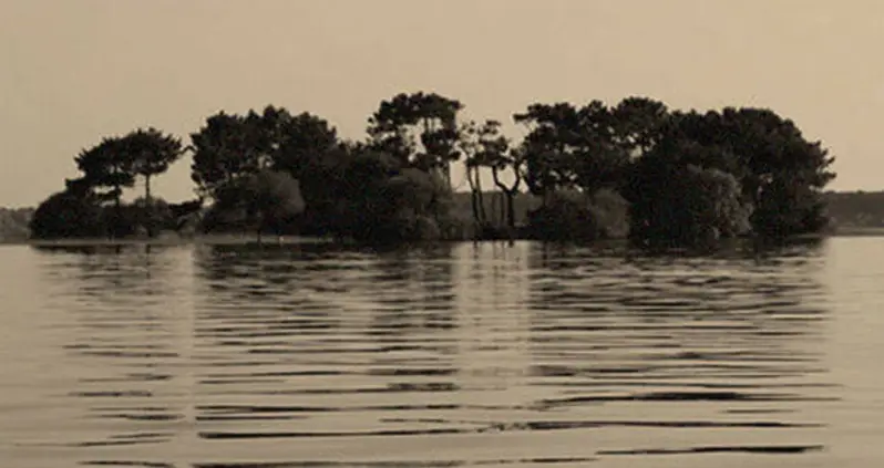 Inside Stalin’s “Cannibal Island,” The Soviet Gulag Where Prisoners Were Forced To Eat Each Other