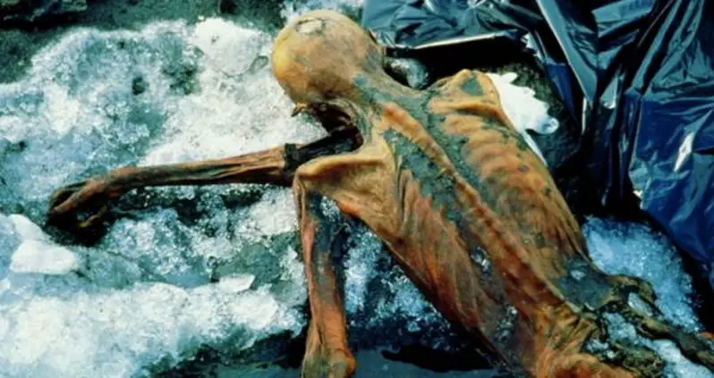 Meet Ötzi The Iceman, The Oldest Preserved Human Being Ever Found