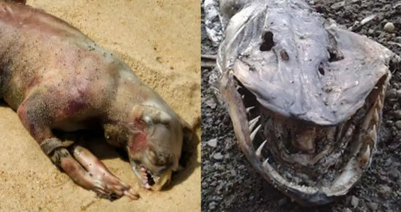 17 Real-Life Monsters And The Truth Behind Each