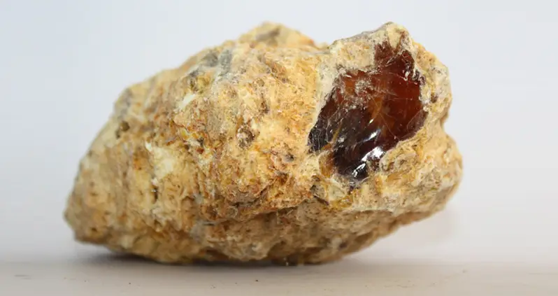 Ambergris, The Rare ‘Whale Vomit’ Used In Perfume