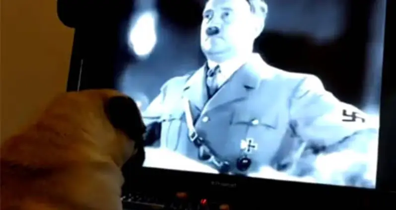 Jury Finds Man Guilty Of Teaching Pug Nazi Salute [VIDEO]