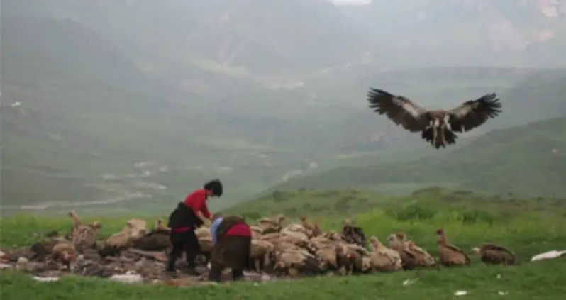 Sky Burial: When Dead Bodies Are For The Birds
