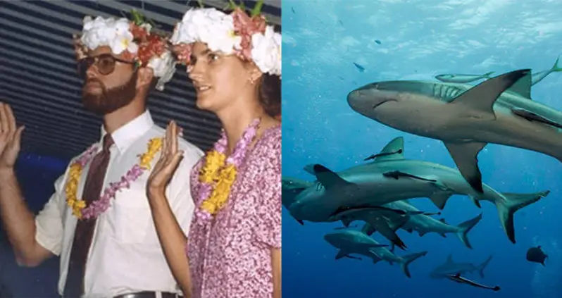 Tom and Eileen Lonergan: The American Couple Who Disappeared In The Great Barrier Reef