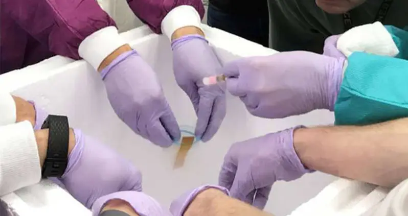 NASA Has Sent Sperm Into Orbit To Find Out If Space Babies Are Possible