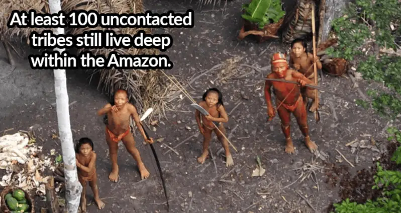 31 Interesting Facts About Brazil From The Forests To The Favelas