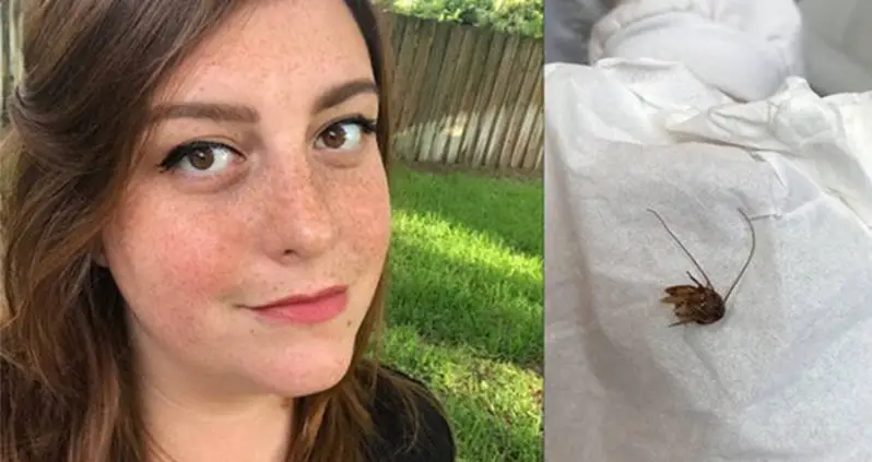 Cockroach Crawls In Sleeping Woman’s Ear And Gets Stuck For Nine Days
