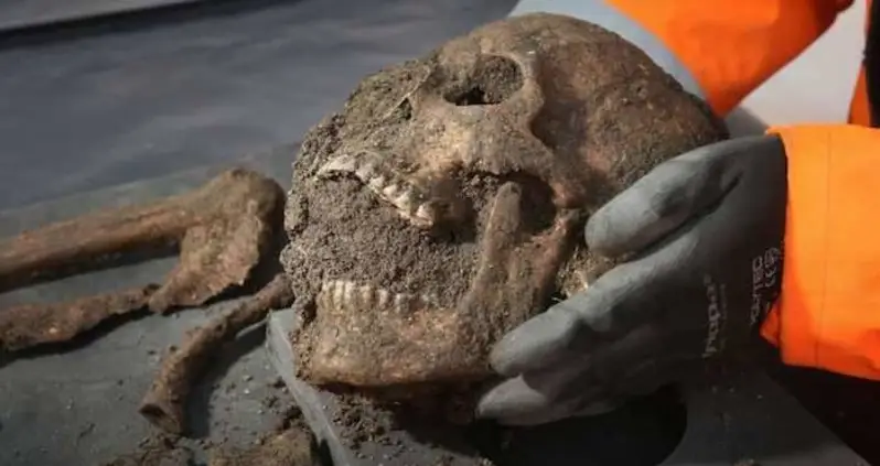 The Oldest Virus In A Human Skeleton Was Just Found — And It’s Still Afflicting People Today