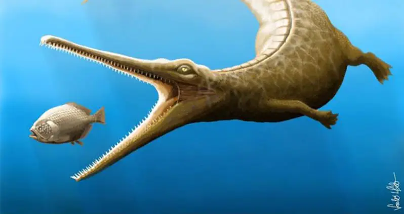 180-Million-Year-Old Fossil Is Missing Link In Crocodile Family Tree