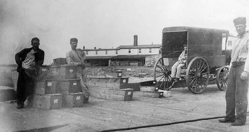 Hart Island Is Home To Over One Million Dead Bodies — And Is Just Miles From Manhattan