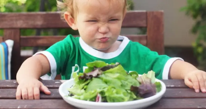 Boy Calls 9-1-1 On His Parents For Making Him Eat A Salad