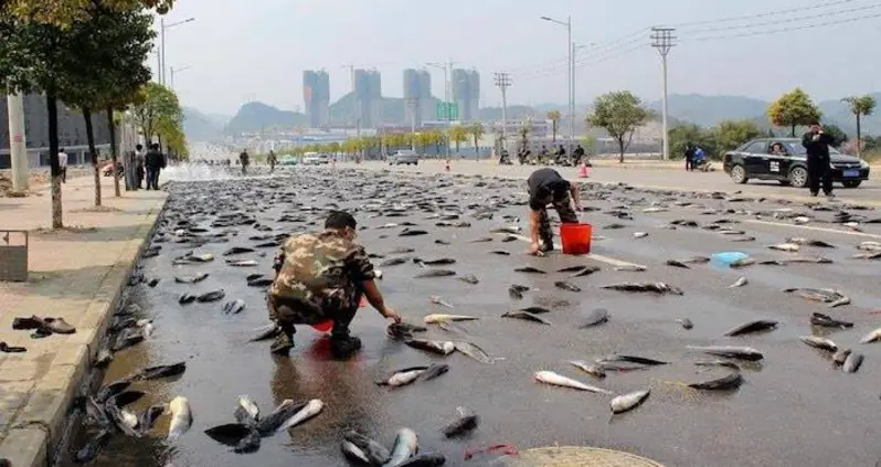 The Legend Of Lluvia De Peces: The Traditional “Rain Of Fish” That Befalls This Small Honduras Town — Or So The Locals Say