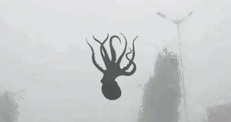 Sea Tornado In China Brings Torrential Downpour Of Hail And Animals