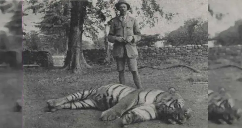 The Champawat Tiger Killed More Than 400 People – Until A Colonel Hunted Her Down