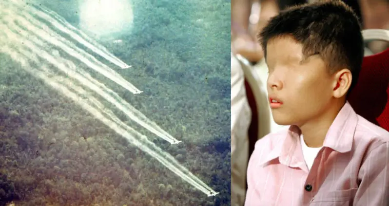 Vietnam Demands Monsanto Pay Victims Of Agent Orange Chemical Attacks