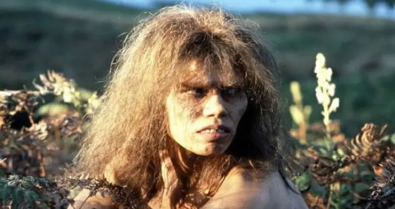 Scientists Have Uncovered The 90,000-Year-Old Hybrid Of Two Extinct Human Species