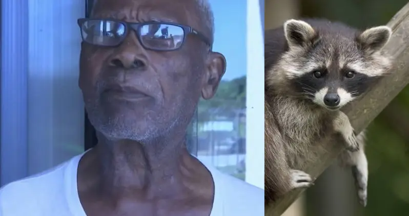 88-Year-Old Florida Man Burns Raccoon Alive Because It Ate His Mangoes