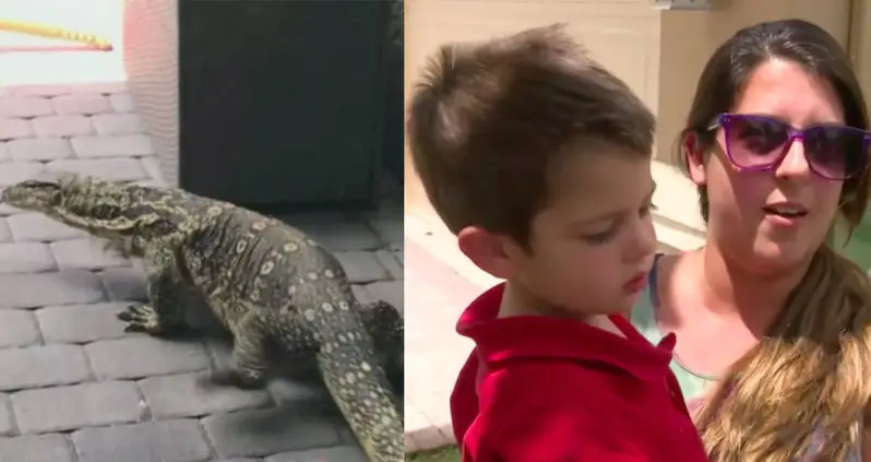 Seven-Foot Monitor Lizard Terrorizes A Florida Family At Their Home — And It Won’t Leave
