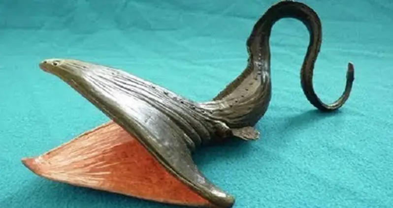 Bizarre-Looking Sea Creature Captured On Film – And The Scientists’ Reactions Are Priceless