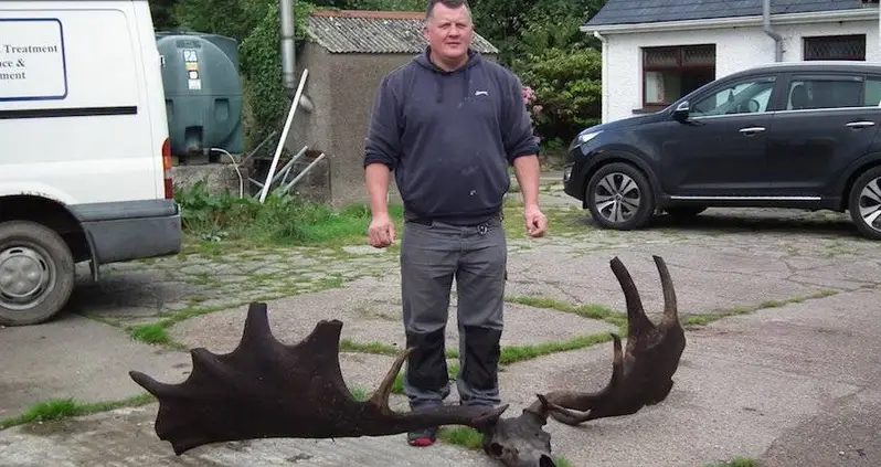 Fishermen Discover A Massive 10,000-Year-Old ‘Irish Elk’ Skull