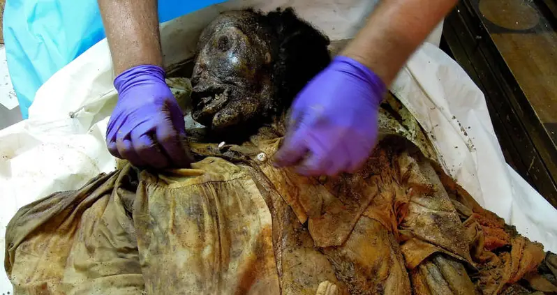 Mystery Of Shockingly Well-Preserved Mummy Found In New York City Finally Solved